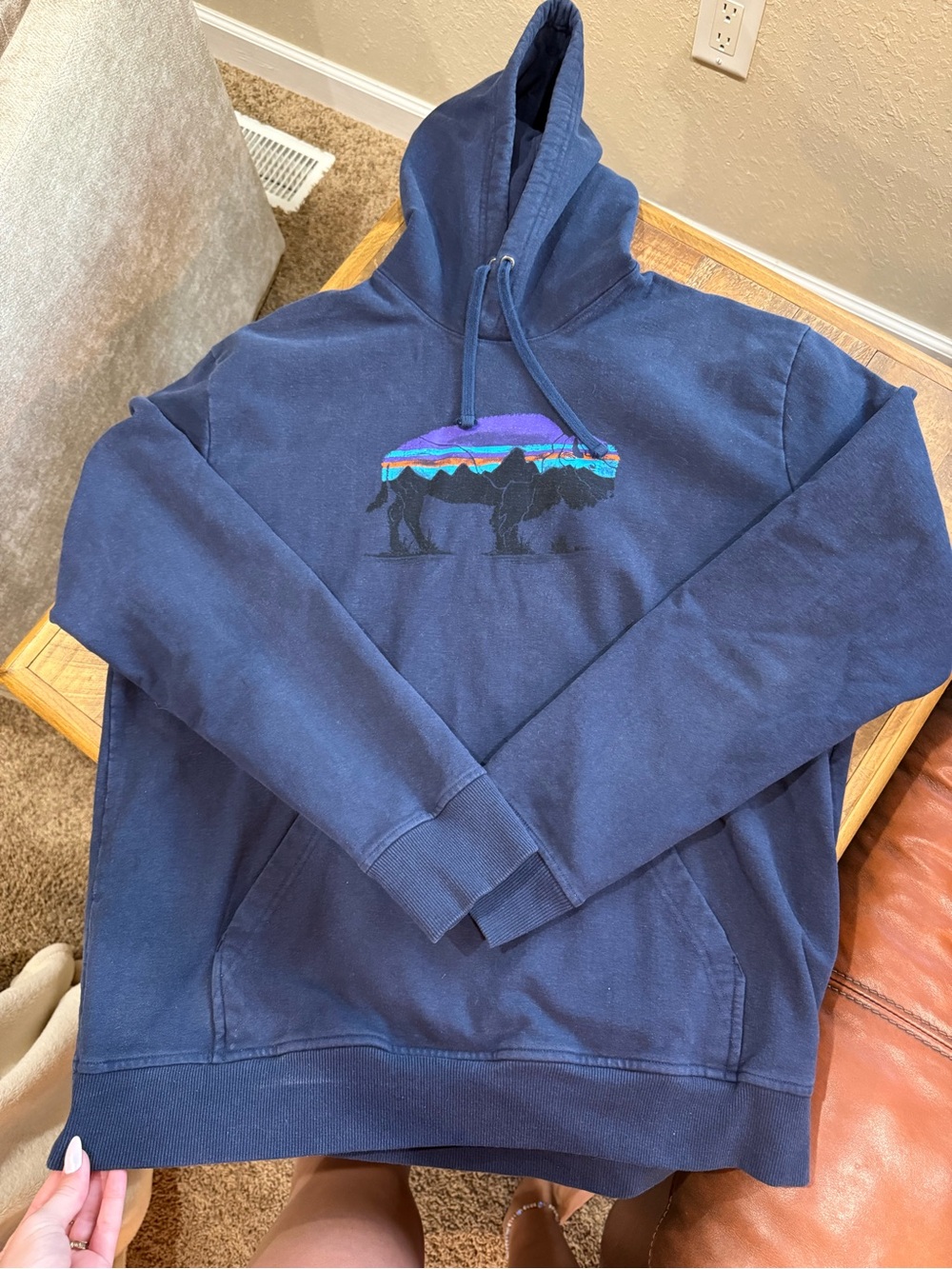 Patagonia Navy Hoodie with Multicolor Mountain Graphic